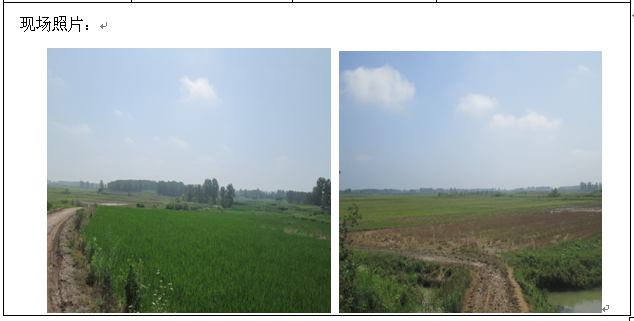 �齫���˹ٷ���վ��ڹٷ���-�齫���˹ٷ���վ��ڱ�׼��